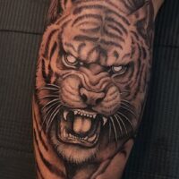SDITATTOO Eagle River LLC – Best Tattoo Shop Near Me in Eagle River, AK With Tattoo Ideas for Men & Women
